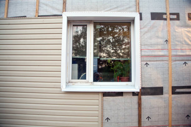 Best Siding Removal and Disposal  in Wyong, MI