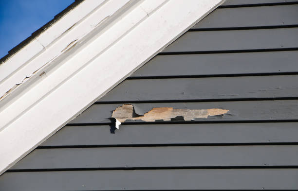 Best Siding Painting and Refinishing  in Wyong, MI