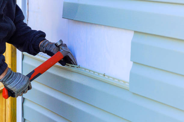 Best Residential Vinyl Siding Installation  in Wyong, MI