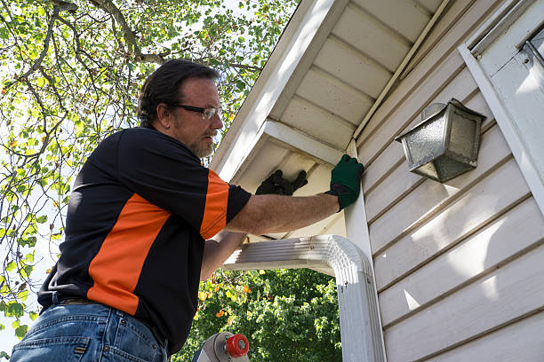 Best Storm Damage Siding Repair  in Wyong, MI